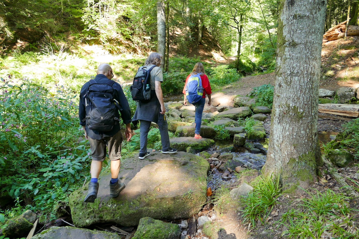 Bad Peterstal-Griesbach, Yoga Walk in der Wilden Rench