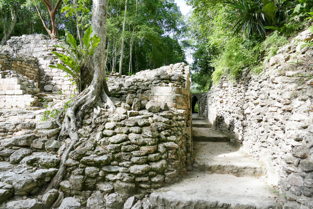 Becan, eine Mayastaette mitten im Dschungel