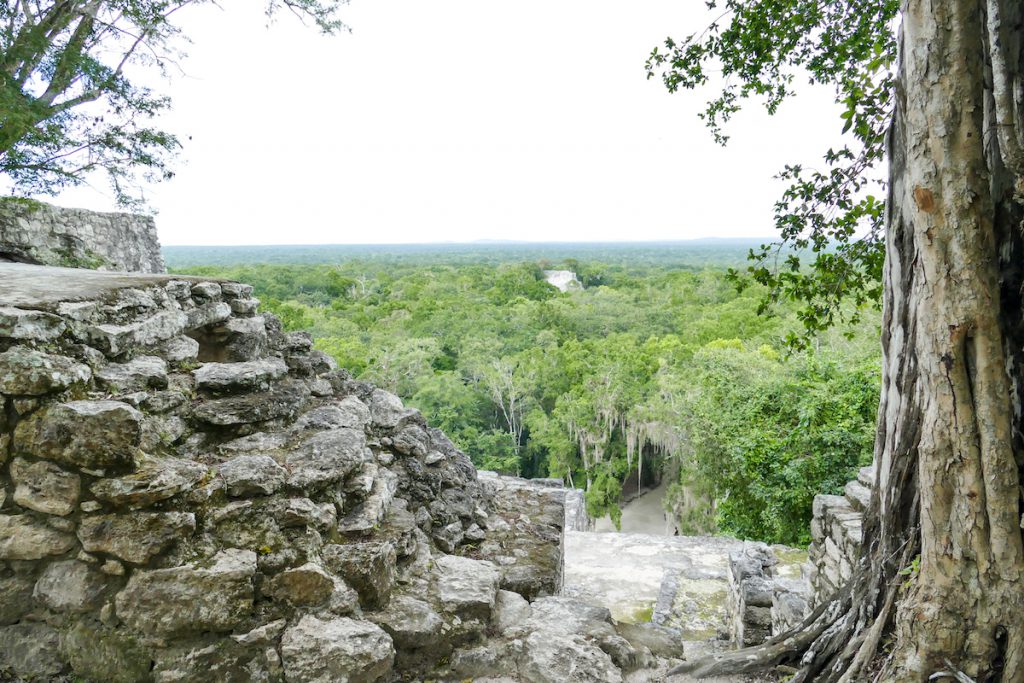 Calakmul, eine faszinierende Mayastaette