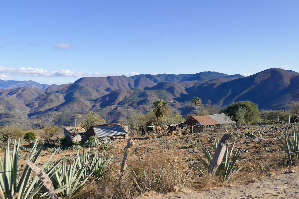 Hierve el Agua, eine Landschaft wie aus einem mexikanischen Bilderbuch