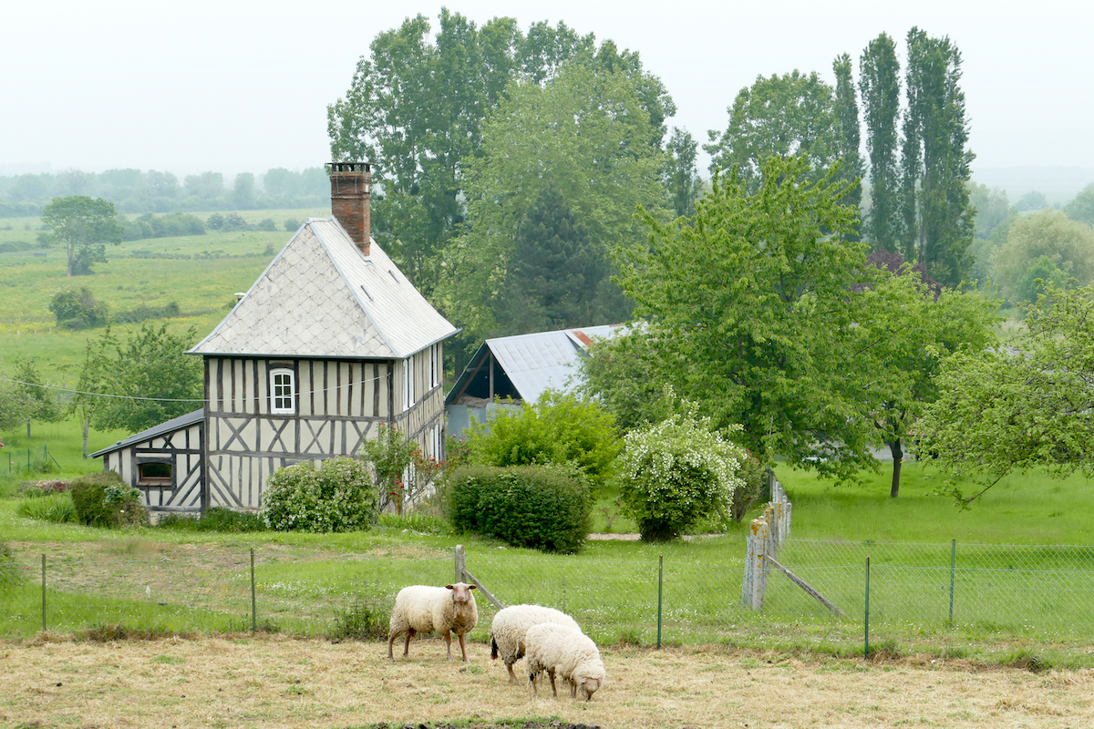 Marais-Vernier und seine Sumpfgebiet