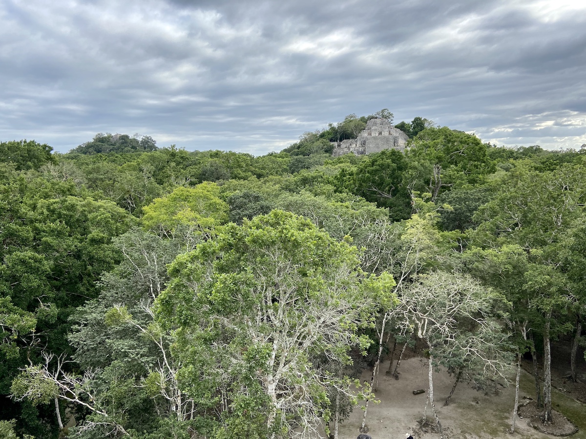 Maya-Ruinen von Calakmul