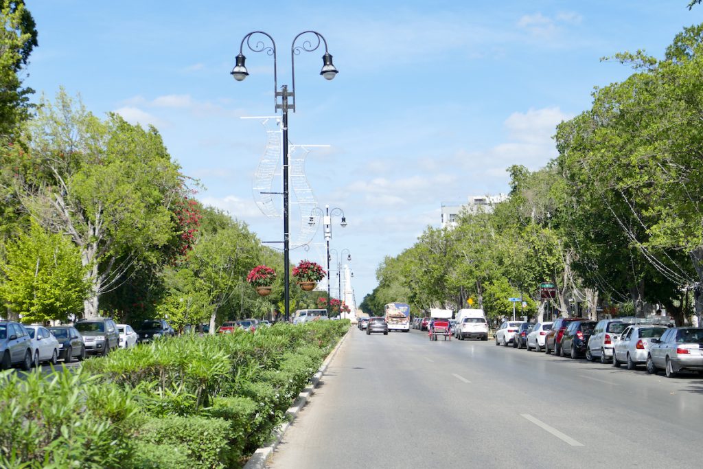 Merida, Avenida Paseo de Montejo