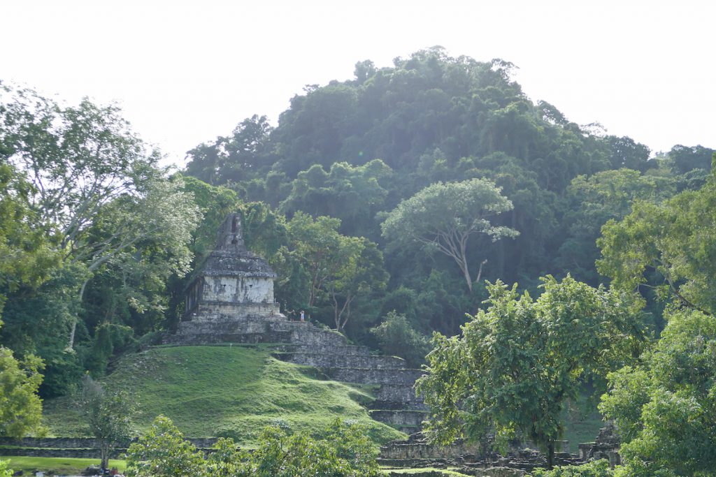 Palenque, Ruinen mitten im Dschungel